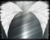 White Cupids Wings