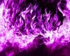 love fire purple