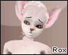 [Rox] Hairless Cat Fur F