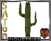 [SaT]Cactus desert