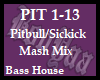 Pitbull/Sickick Mash Mix