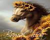bp Sunflower HorseFrame1