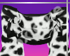 [T] Cow Print Jacket Lyr