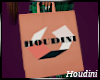 Houdini Bag