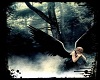dark angel 7