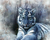tiger bed