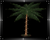 Lux palm w lights