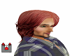 Burg Copper Barry