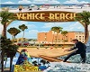 VP - Venice Bch, Ca 1