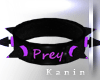 Prey Collar v.6