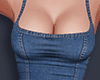Ruffle Denim Dress DB