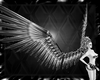 silvery mechanical wings