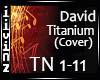 Titanium - David (cover)
