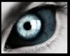 llzM.. Wolf Eyes