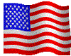 HPS USA FLAG STICKER