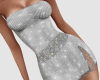 CA Shiny Silver Dress
