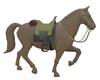 Western Horse