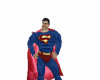 superman fulloutfit