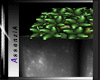 [ A ] Over Plant