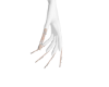 cream