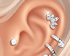 K.Iced Ear Piercings