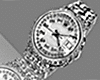 Reloj Platinum Watch