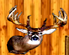 Deer head wall hanging