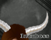 Divo Horns