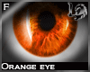 [LD]3D orange eye Female