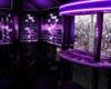 Purple club and bar