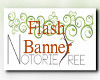 NT Flash Banner