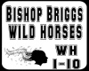 Bishop Briggs-wh