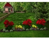 Peony&DahliaFlowerBed