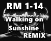 Walking on Sunshine RMX