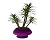 Purple Potted Plant
