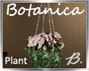 *B* Botanica HangingPlan