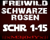 M3 FW Schwarze Rosen