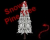 Devil~Snow Pine Tree