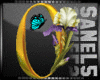 IO-Flower Letter-O