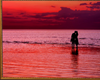 Pink Sunset