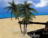 beach house palm tree