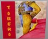 Art Spanish Torero