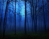 Blue Forest Getaway