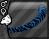 Blue Tiger Cat Tail