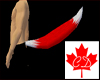 Canadian Kitsune Tail 02