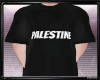 Palestine T-Shirt V²