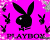 [KP] Playboy Pink