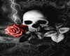 Animated Skull and Rose