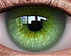 Green Feminin Eyes
