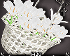 Flower Basket White